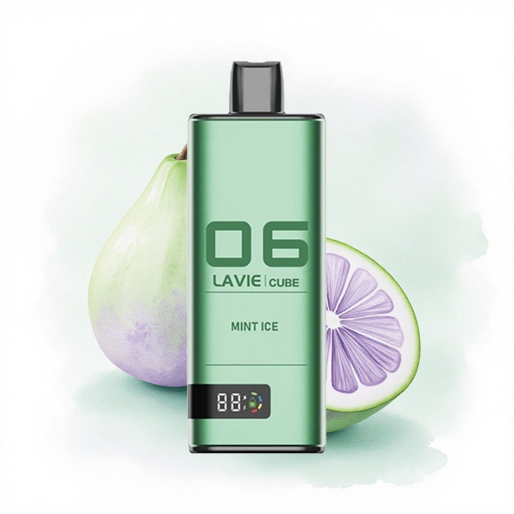 Lavie Cube 20000 Puffs Nane Buzu 28ML 600mAh Tip C