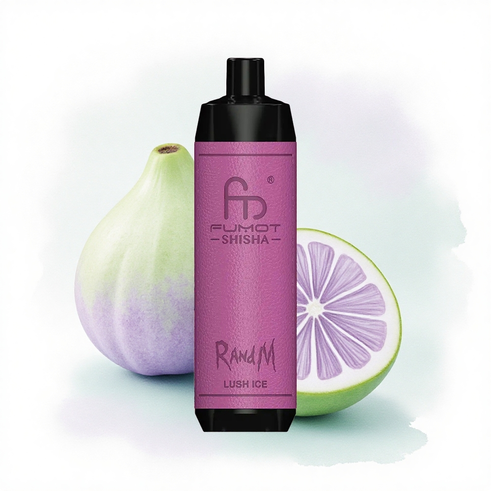 RandM Fumot Shisha 10000 Puffs Buzlu Nane 0.5% Nikotin 850 mAh Tip-C