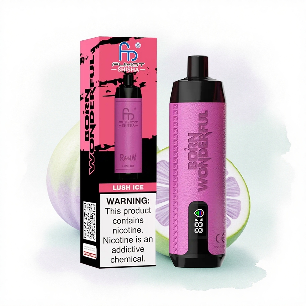 RandM Fumot Shisha 10000 Puffs Buzlu Nane 0.5% Nikotin 850 mAh Tip-C