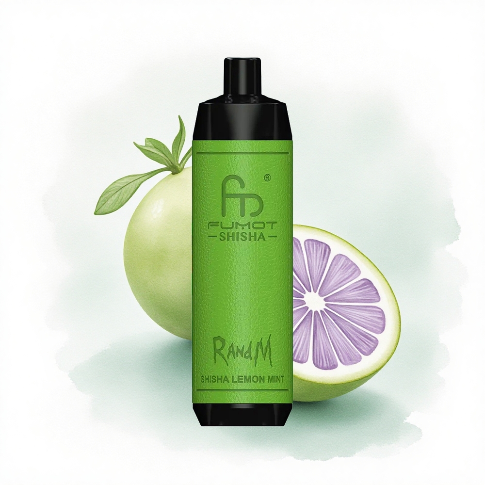 RandM Fumot Shisha 10000 Puffs Nane Limon Aromalı 850 mAh Şişe