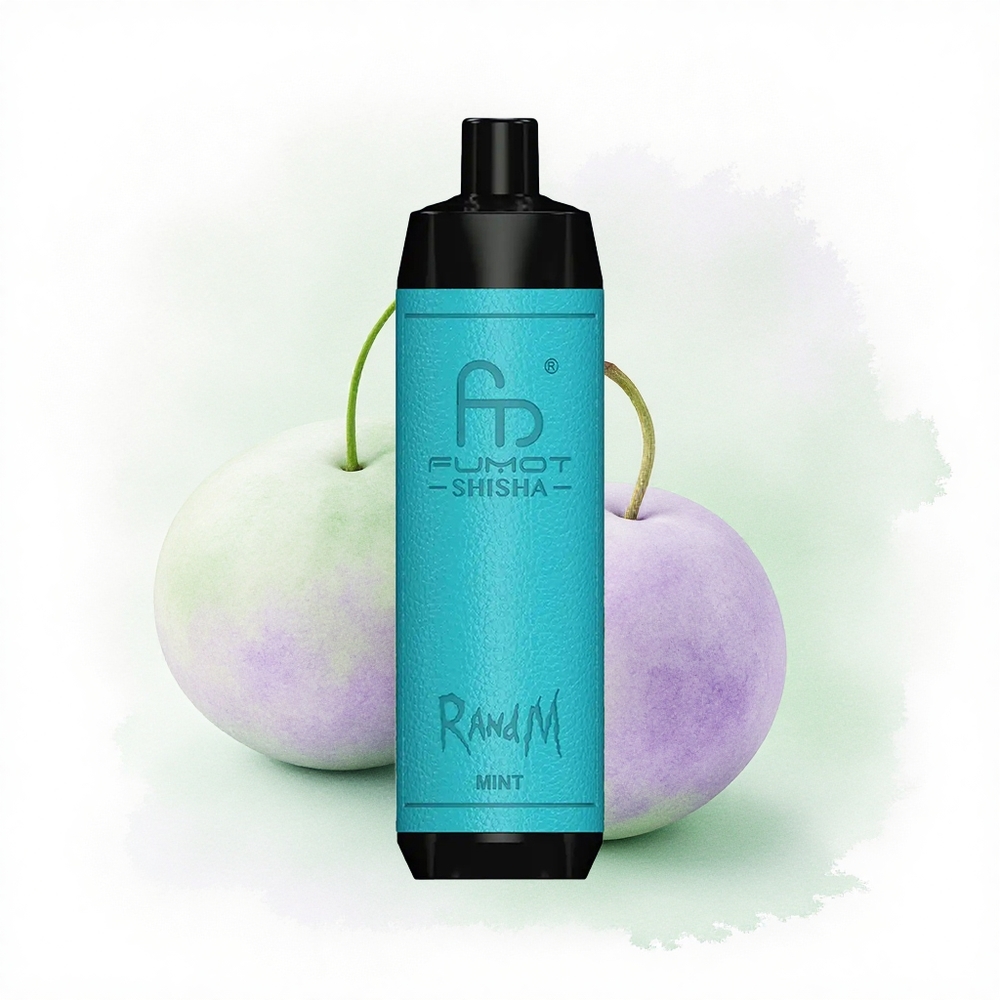 RandM Fumot Shisha 10000 Puffs Nane Tipi-C Portlu 850 mAh Pil ve %0.5 Nikotin
