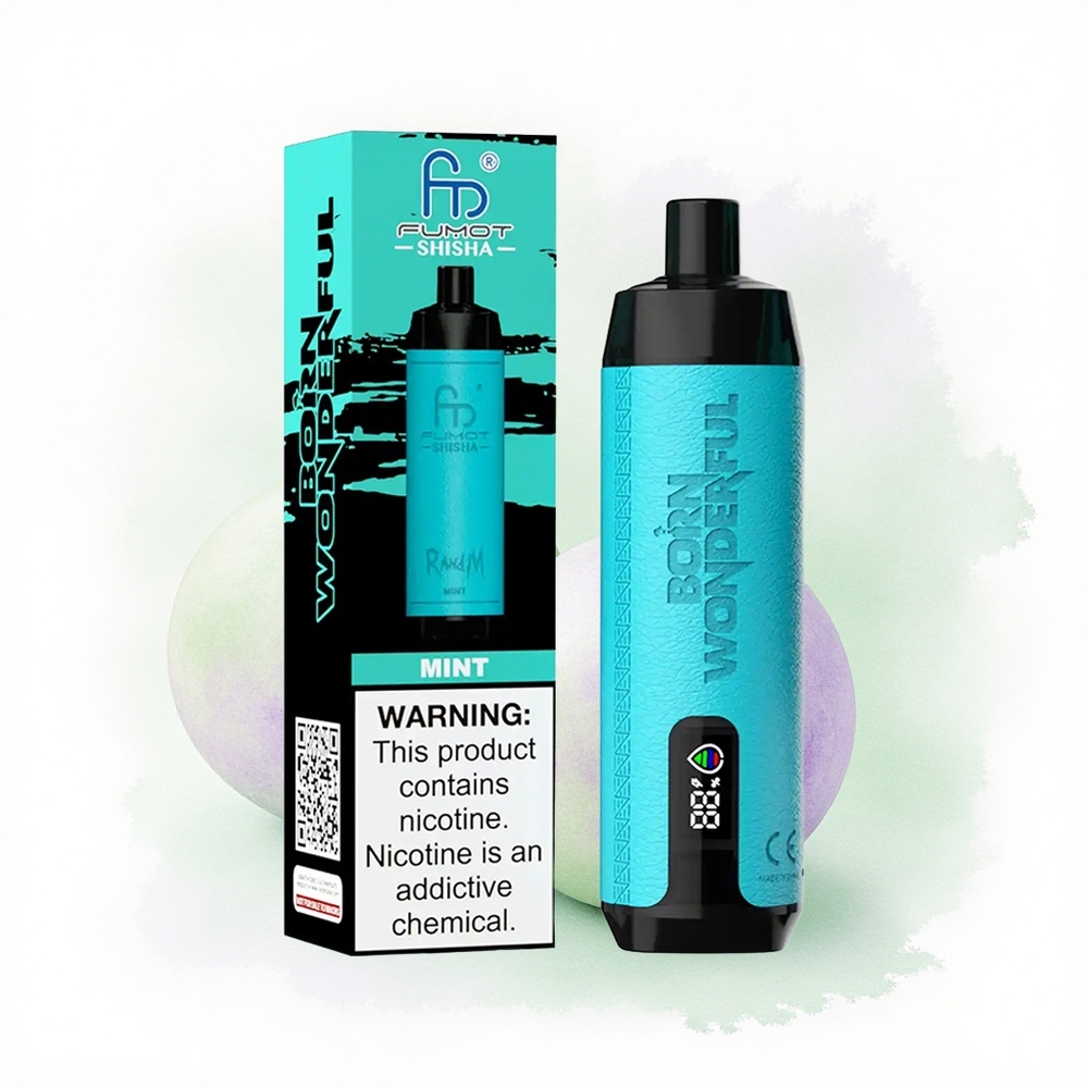 RandM Fumot Shisha 10000 Puffs Nane Tipi-C Portlu 850 mAh Pil ve %0.5 Nikotin